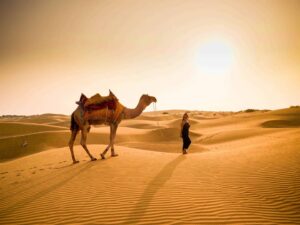 Desert Safari In Jaisalmer 2024